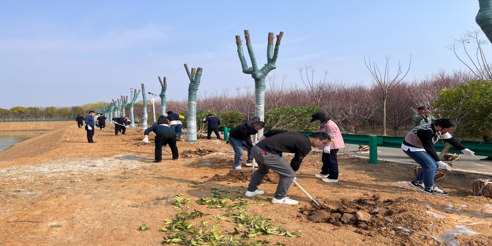黨建引領(lǐng)共植綠 凝心聚力譜新篇 ——和合生態(tài)、德嘉置業(yè)黨支部赴小廟基地義務(wù)植樹