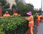 新站區(qū)道路清掃保潔、綠化管養(yǎng)項(xiàng)目